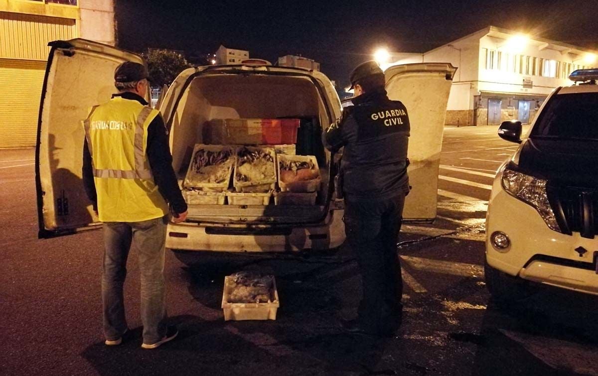 Merluza incautada en el puerto de Marín