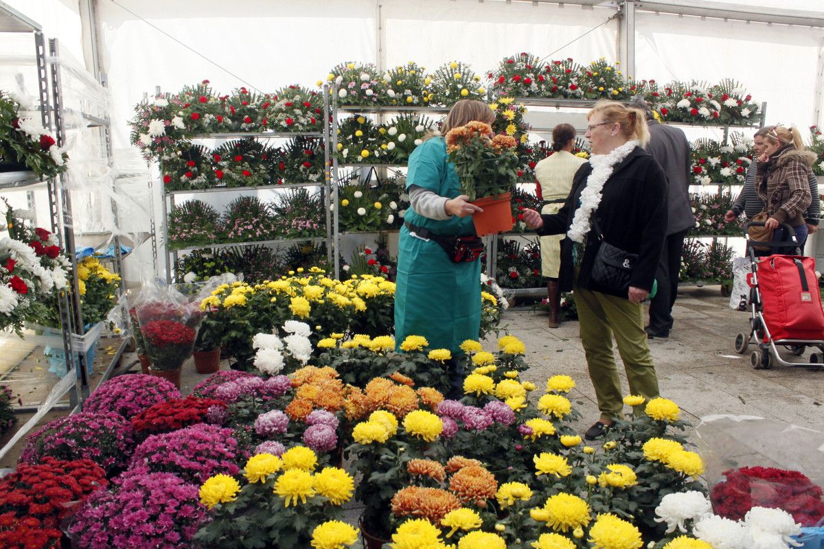 Mercado de flores en Vilagarcía