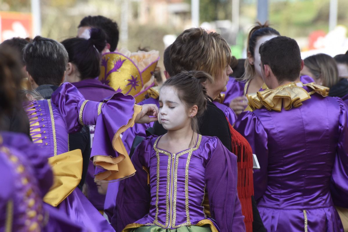 Desfile del Entroido en Pontevedra 2017 (I)