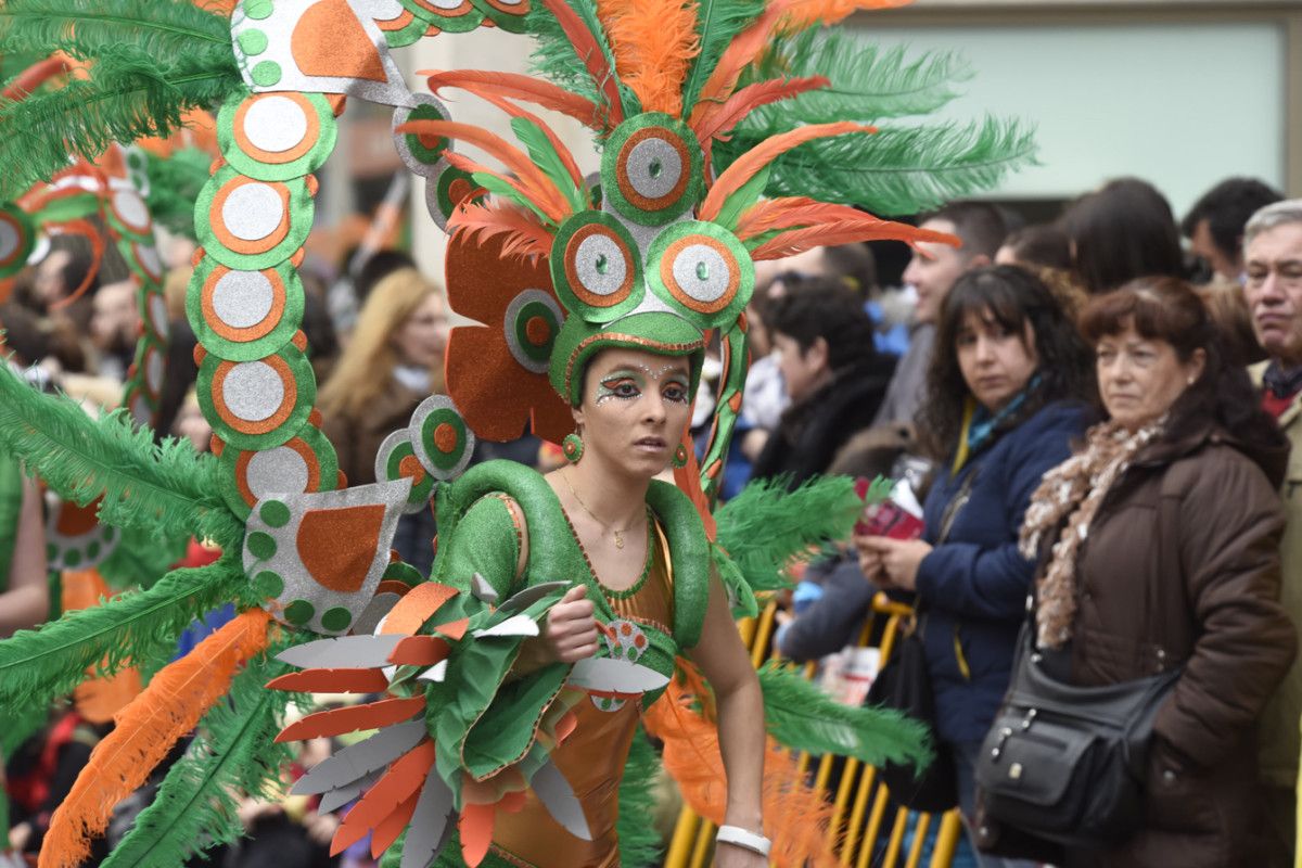 Desfile do Entroido en Pontevedra 2017 (I)