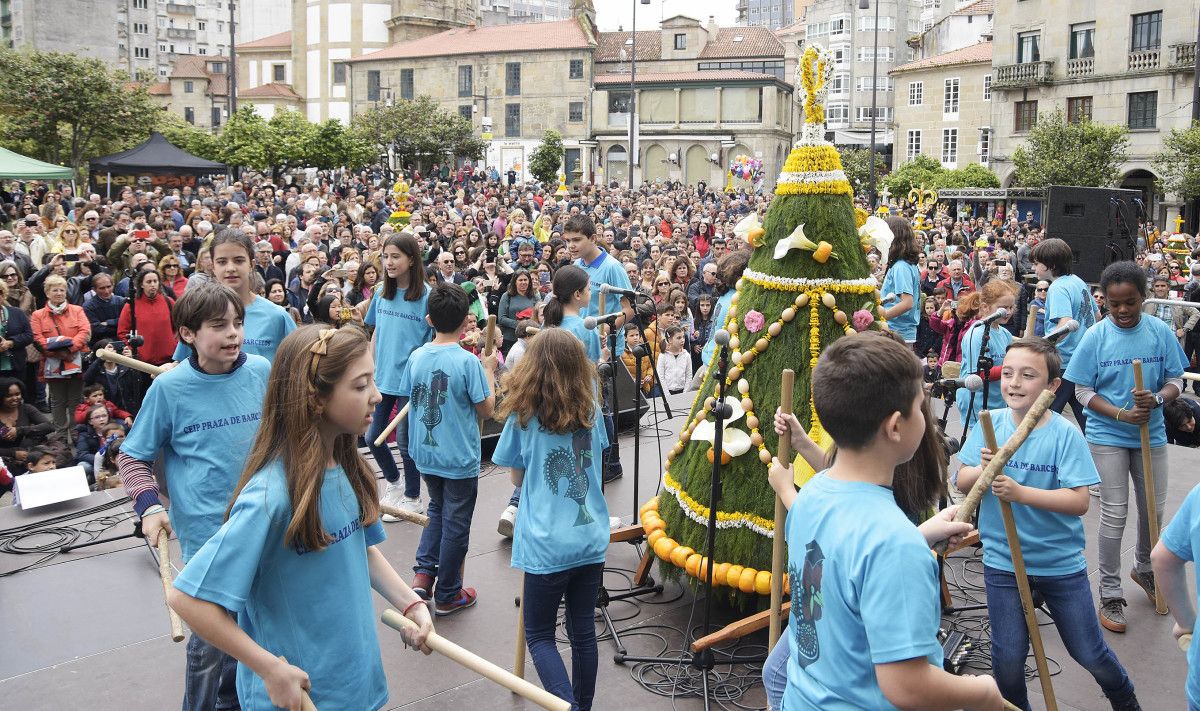 Concurso de los Maios 2017