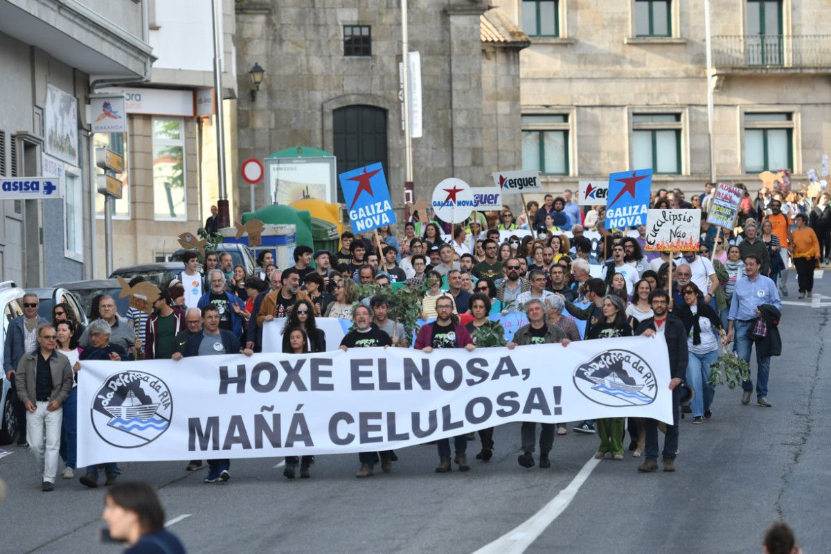 Marcha anual contra Ence y Elnosa