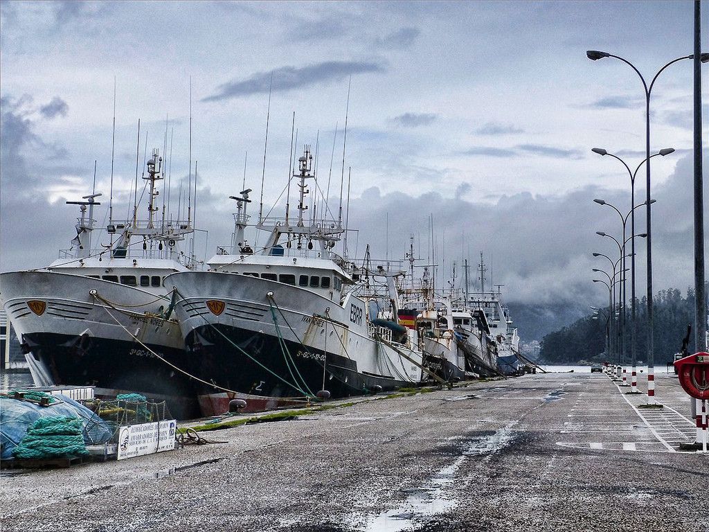 Barcos amarrados en Marín