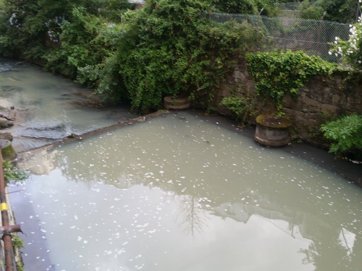 Vertido en el rio de Os Gafos