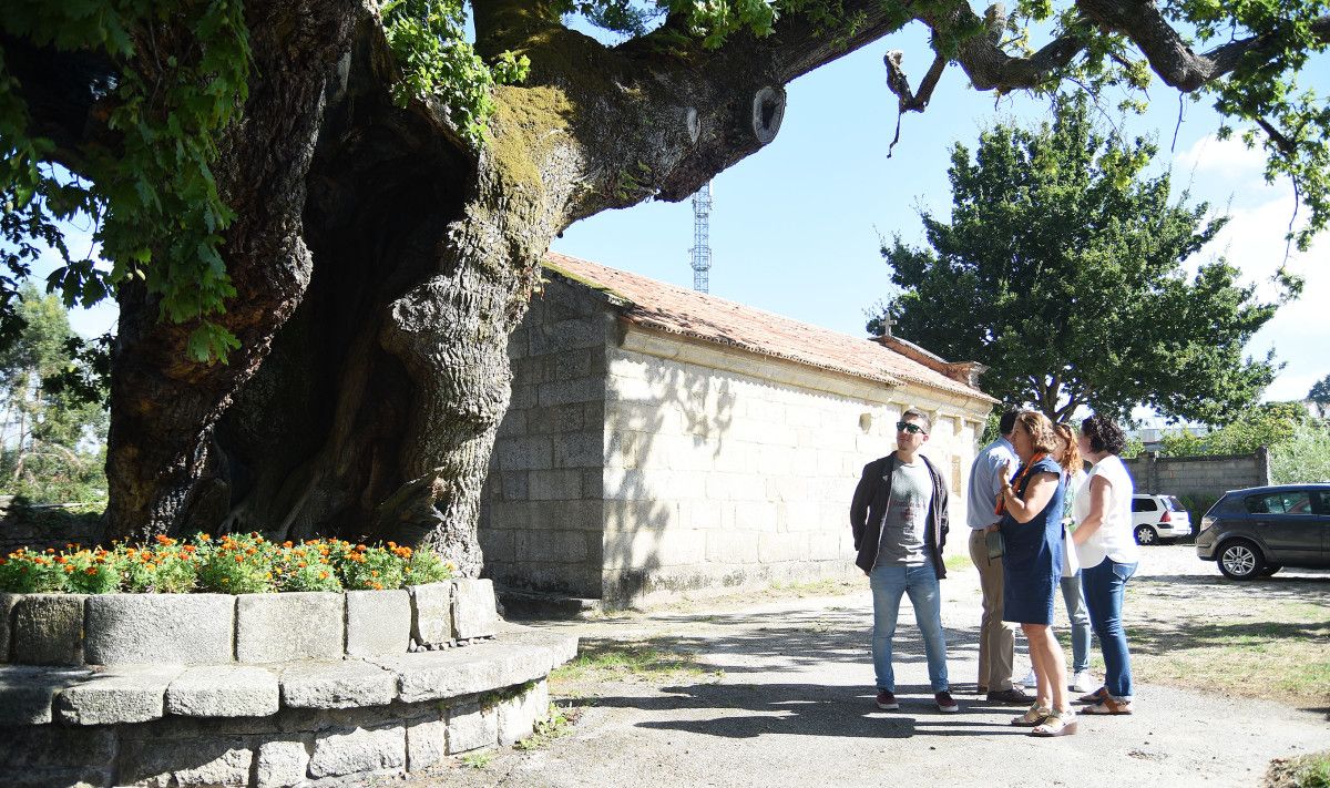 Eva Villaverde y Alberto Oubiña visitan el carballo de Santa Margarita