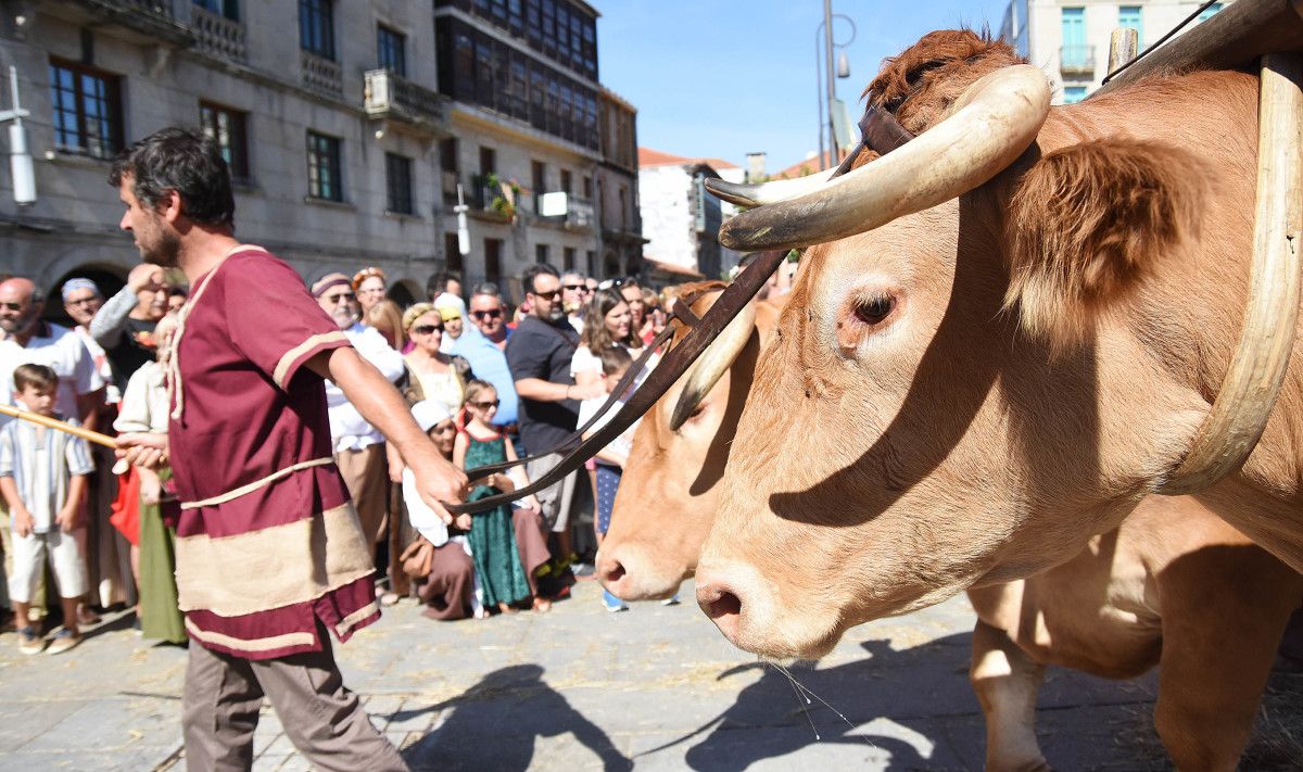 Transporte del vino en la Feira Franca