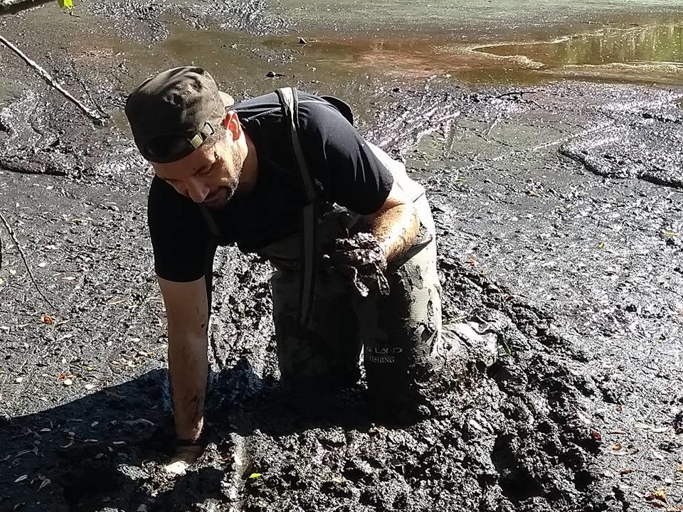 Momento del rescate del zampullín chico en el entorno de las Marismas de Alba