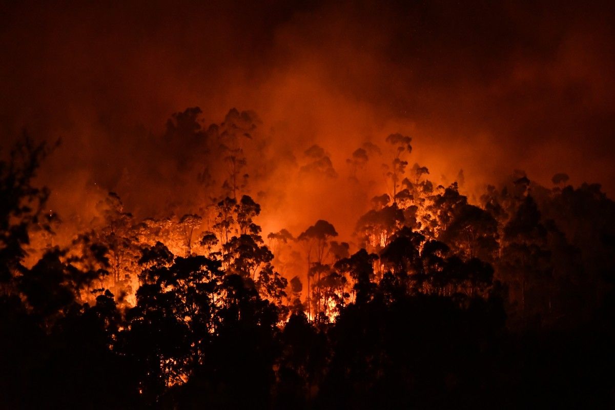 Imágenes nocturnas del incendio de Tenorio