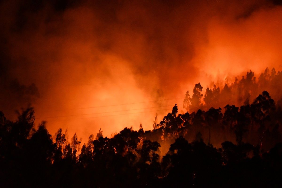 Imágenes nocturnas del incendio de Tenorio