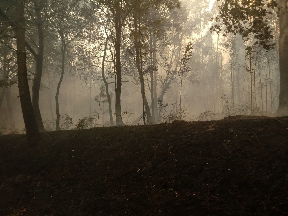 Tierra quemada