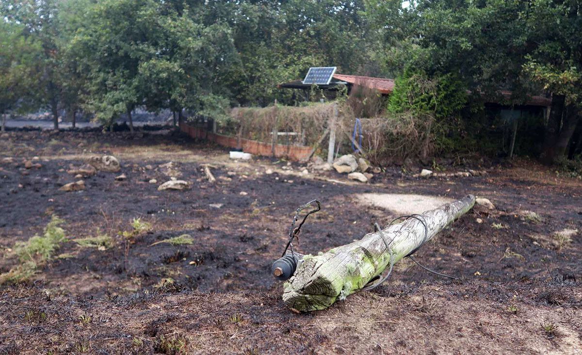 Daños provocados por los incendios en Ponte Caldelas