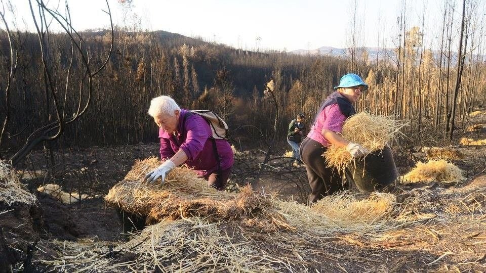 Jornada del sábado en la operación 'mulching' tras los incendios de Ponte Caldelas