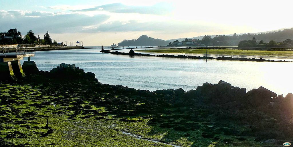 Zona na que se prevé realizar a dragaxe do río Lérez e a ría de Pontevedra