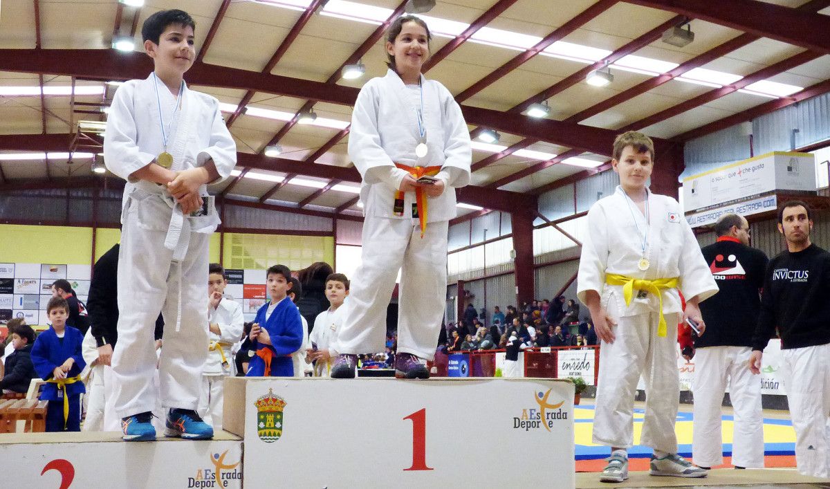 Campeonato de Judo Escolar en A Estrada