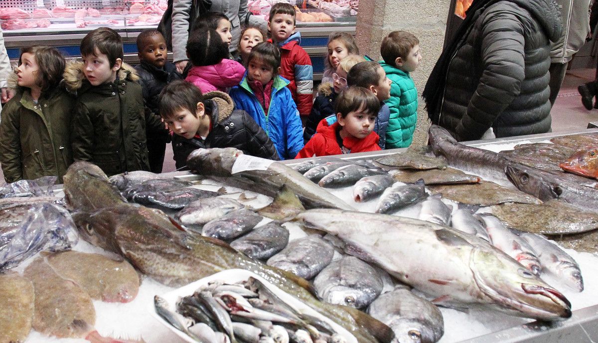 Visitas escolares al Mercado. O Ganapán