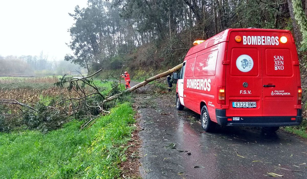 Caída de un árbol en Sanxenxo por el temporal