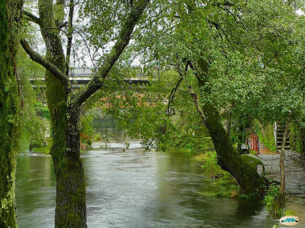 Río Verdugo ao seu paso por Ponte Caldelas