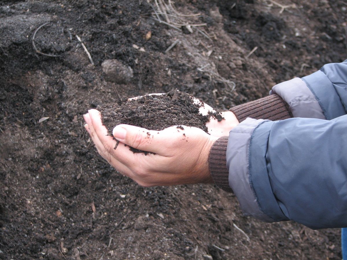 Compost