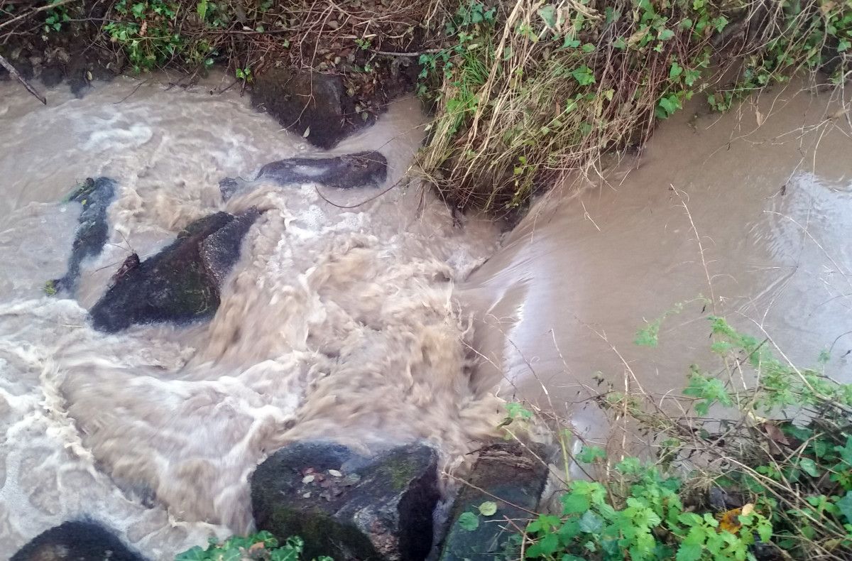 Lodo en el río Pombal