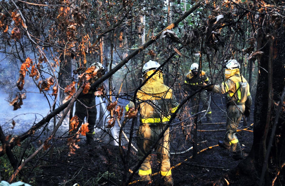 Brigadas trabajando en la extinción de un incendio forestal