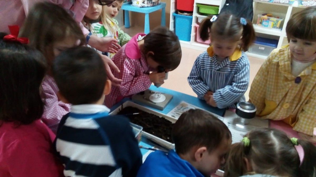 Los escolares del colegio San Benito de Lérez "se gradúan" en compostaje