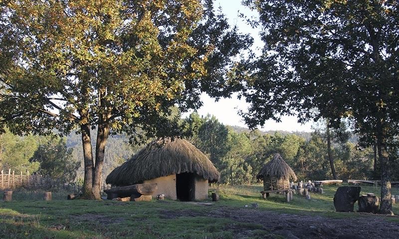 Centro Arqueolóxico da Arte Rupestre de Campo Lameiro