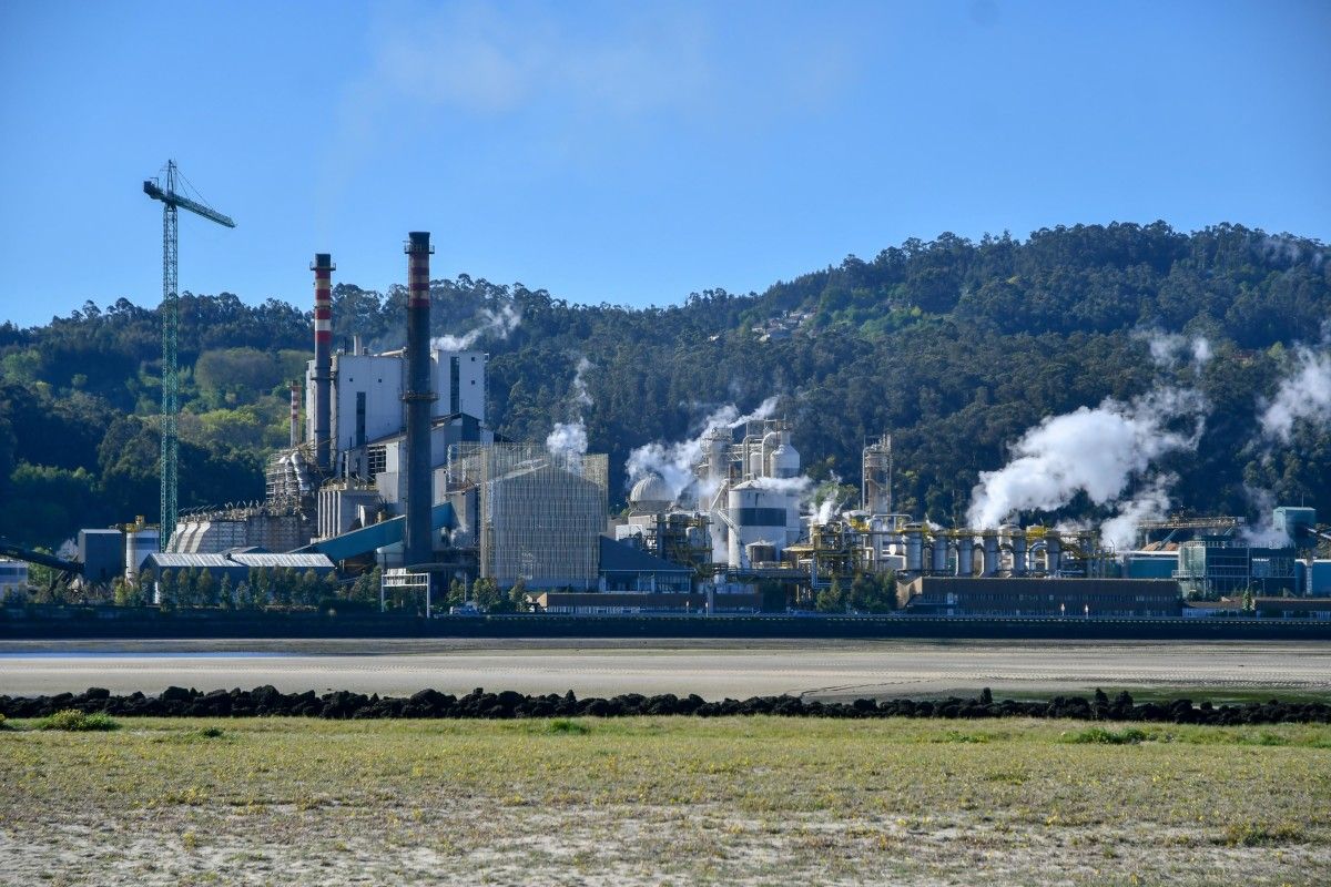  Factoría de Ence en Lourizán, vista desde Lourido