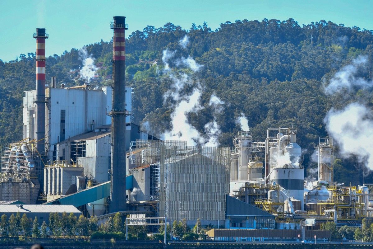 Factoría de Ence en Lourizán vista desde la playa de Lourido