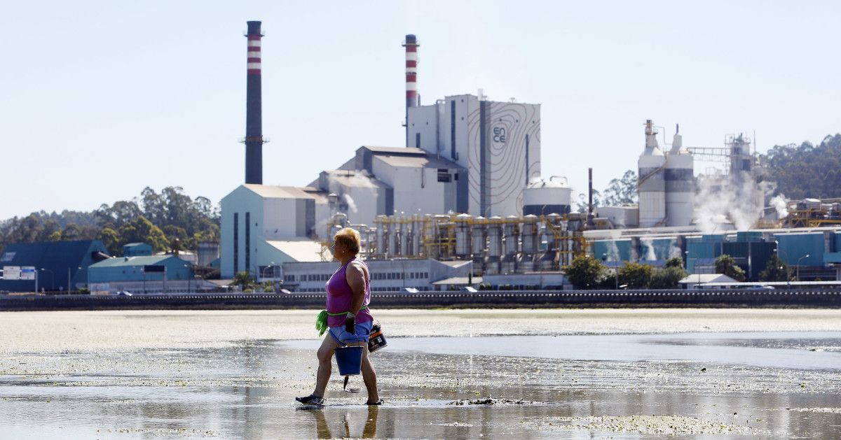 Marisqueo en la ría frente a la fábrica de Ence