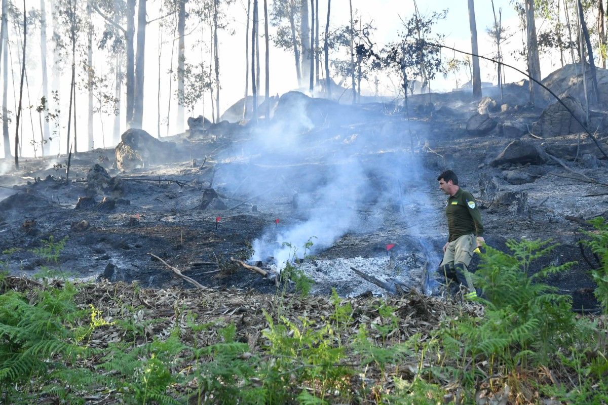 Incendio forestal muy próximo a una viviendas en Vilaboa