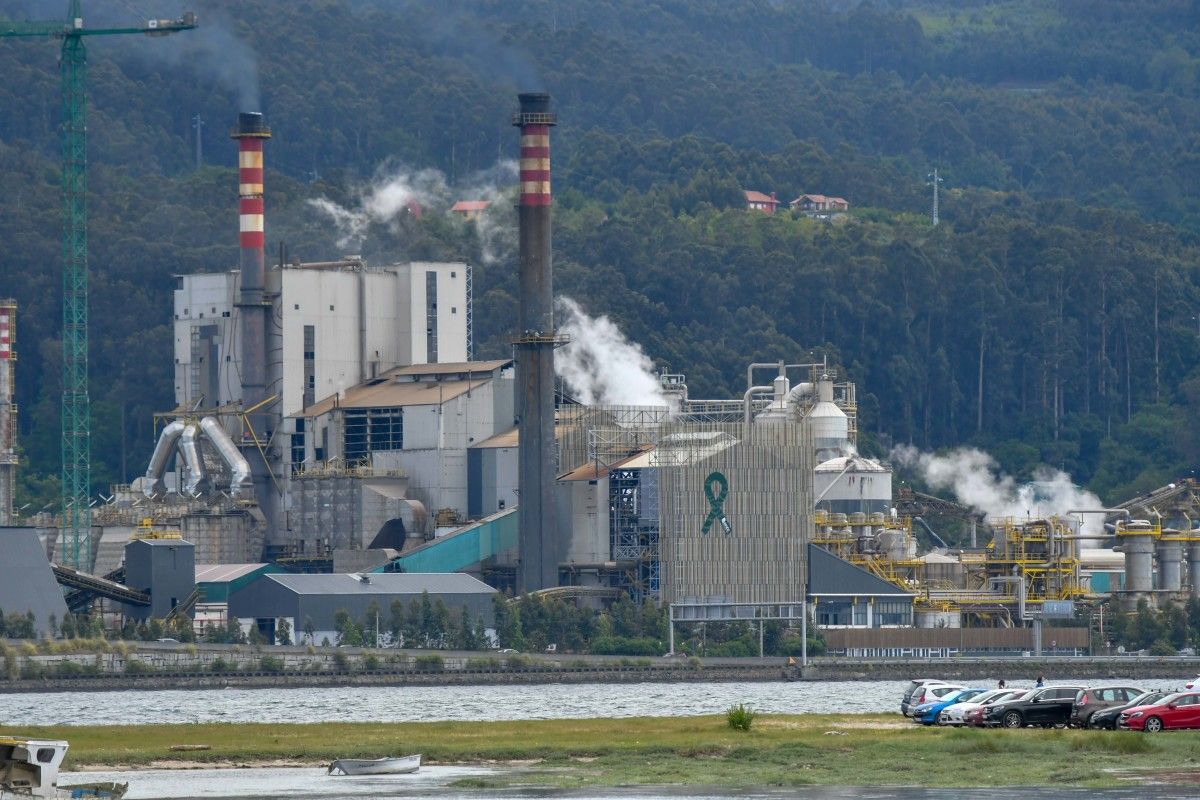 Fábrica de ENCE con un lazo verde en la fachada