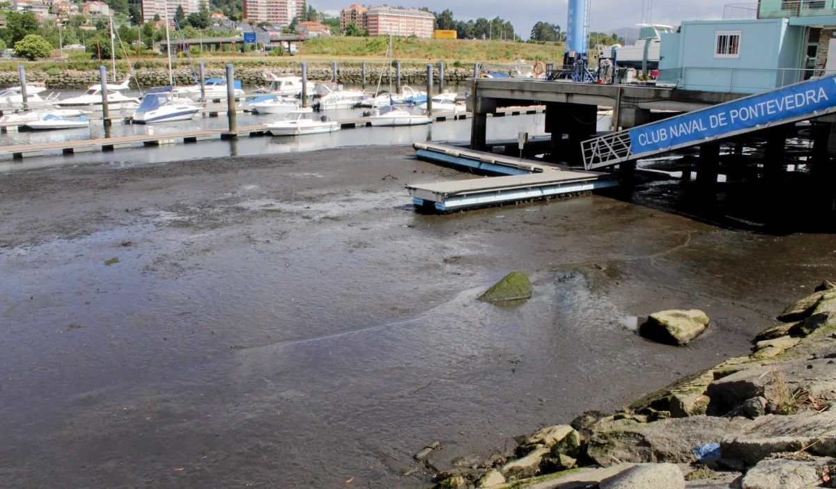 Lodos na zona do Club Naval de Pontevedra