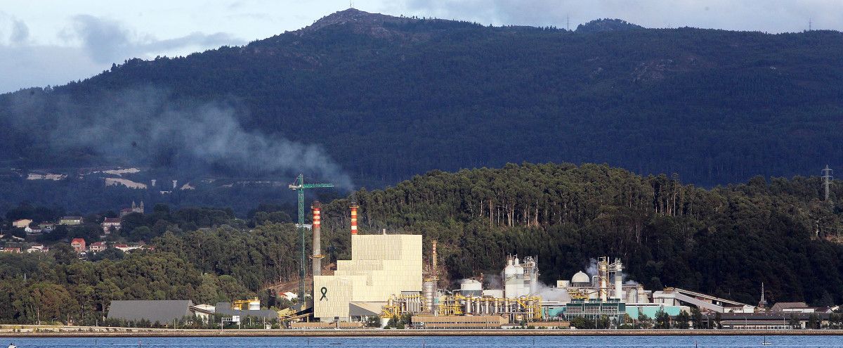 Fábrica de ENCE en Lourizán