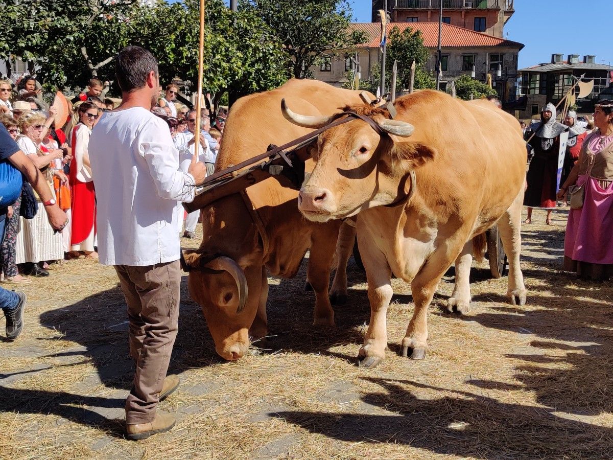 Recreación del transporte del vino en la Feira Franca