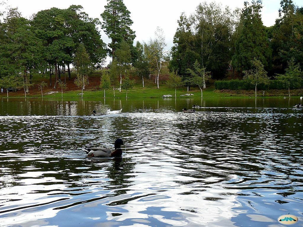 Lago de Castiñeiras