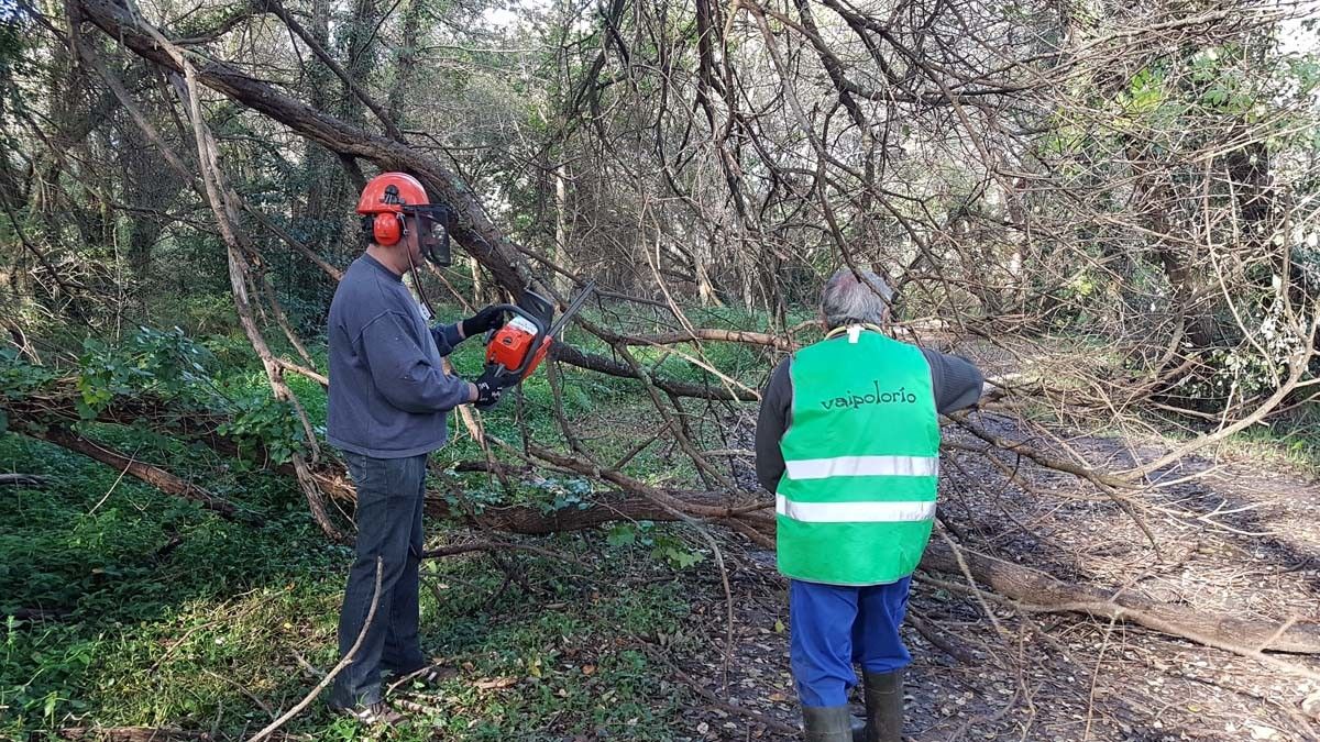 Retirada de árboles caídos en el sendero del Gafos