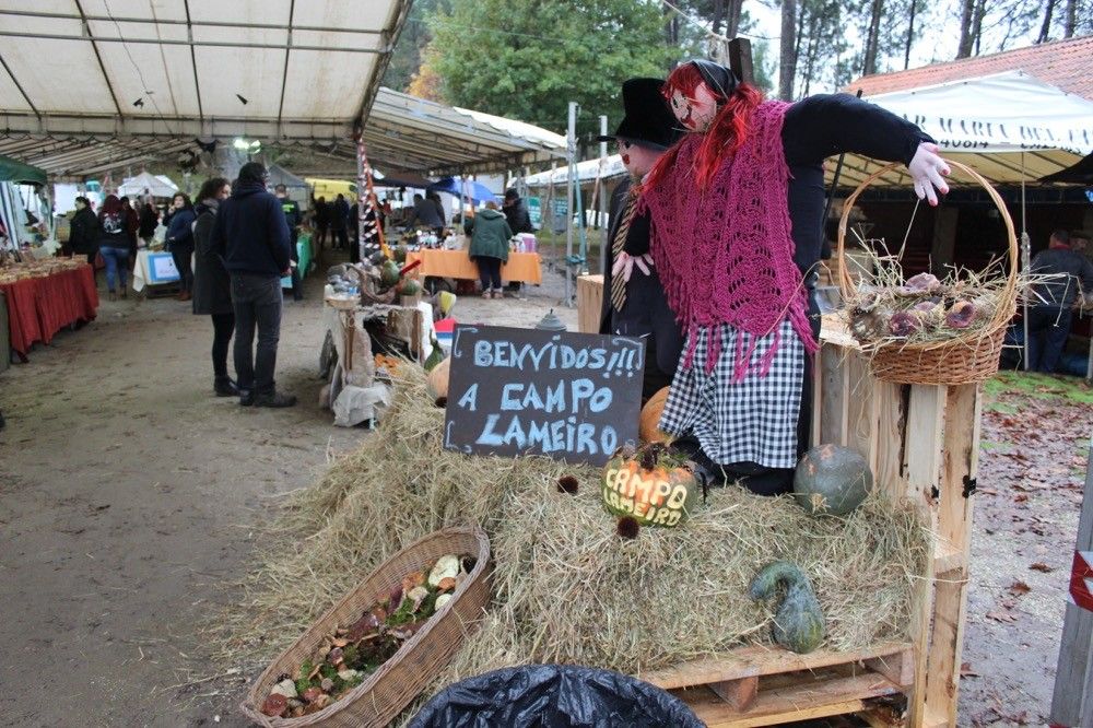 Mercado artesanal de San Martiño de Penalba