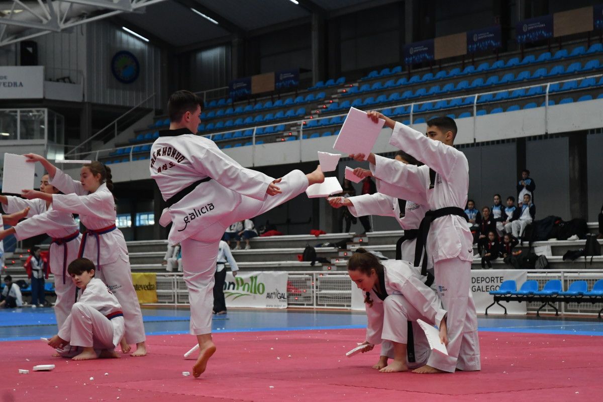 Participantes en el Campeonato de España de Exhibición de Taekwondo