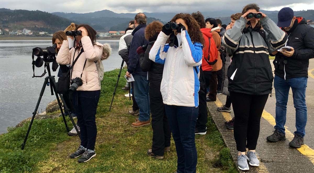 Roteiro de 'Voando nas Rías Baixas' na enseada de San Simón