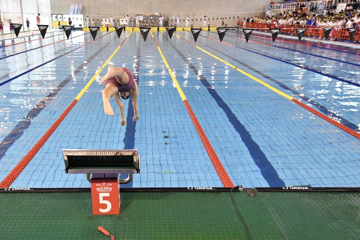 Campionatos Galegos Infantil e Júnior e Copa Galicia Sénior de Natación