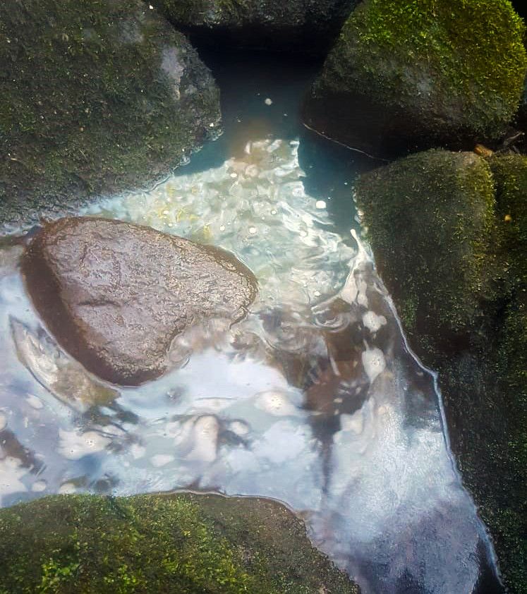 Vertido de gasóleo al río Gafos