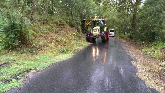 Desbroce en la parroquia de Loureiro en Cotobade