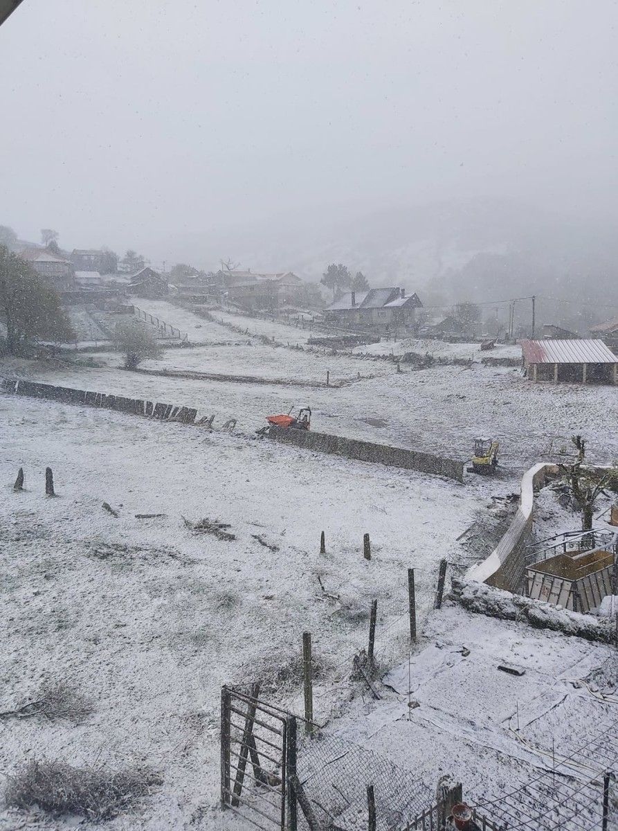 Neve en Pigarzos, na Lama