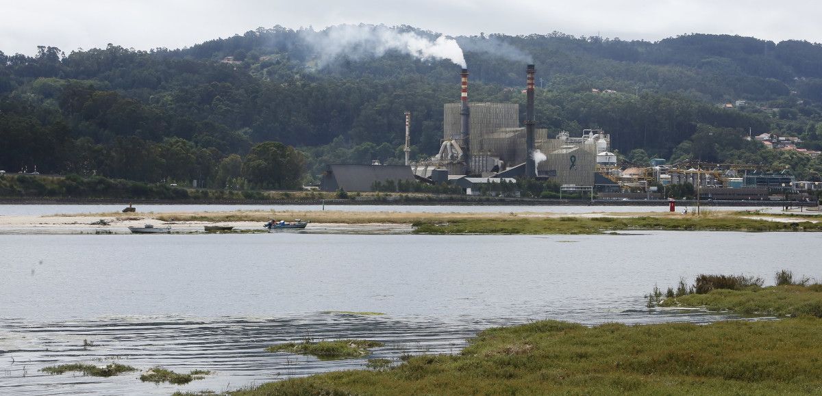 Fábrica de ENCE en Lourizán