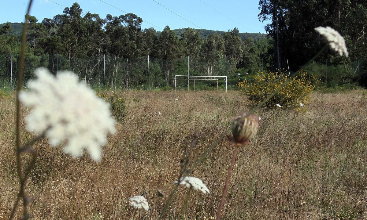 Campo de fútbol do Salgueiral en Bora