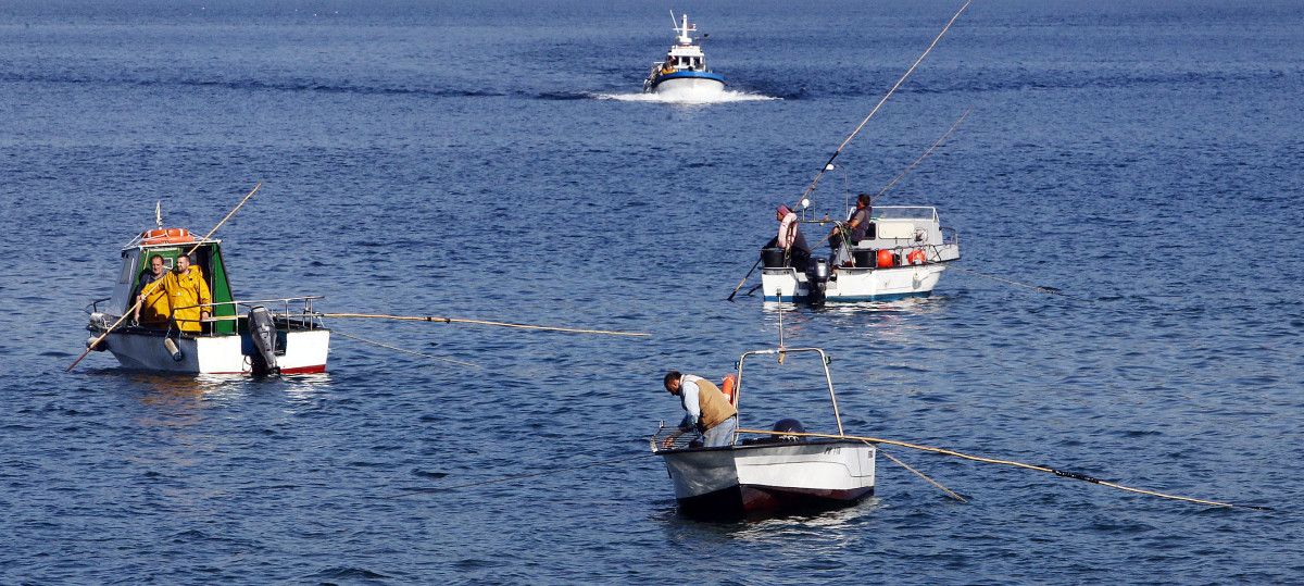 Mariscadores de a flote en Os Praceres