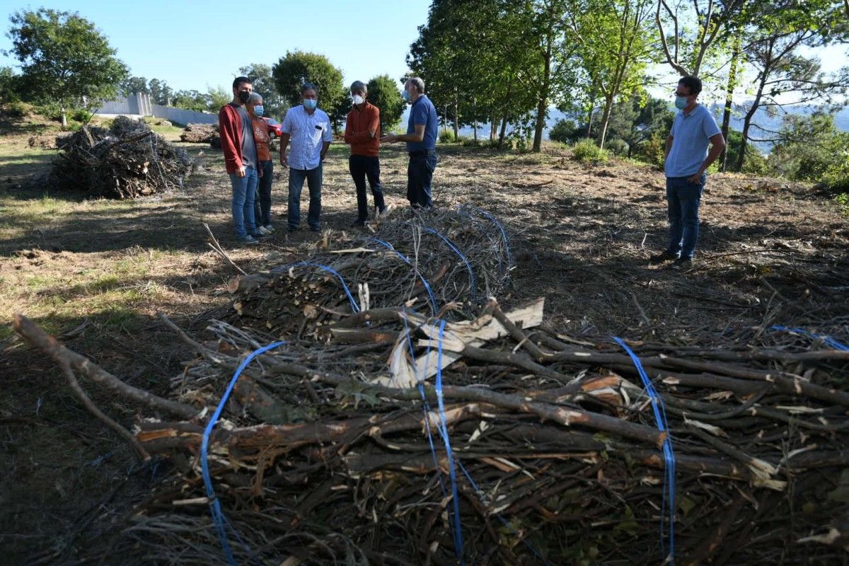 Visita al parque forestal de A Tomba