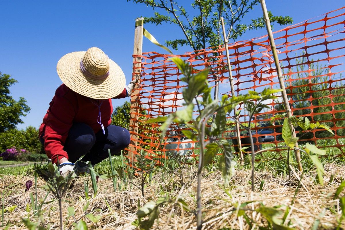 Una mujer trabajando en el campo