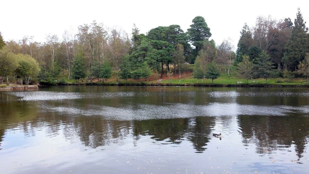 Lago de Castiñeiras