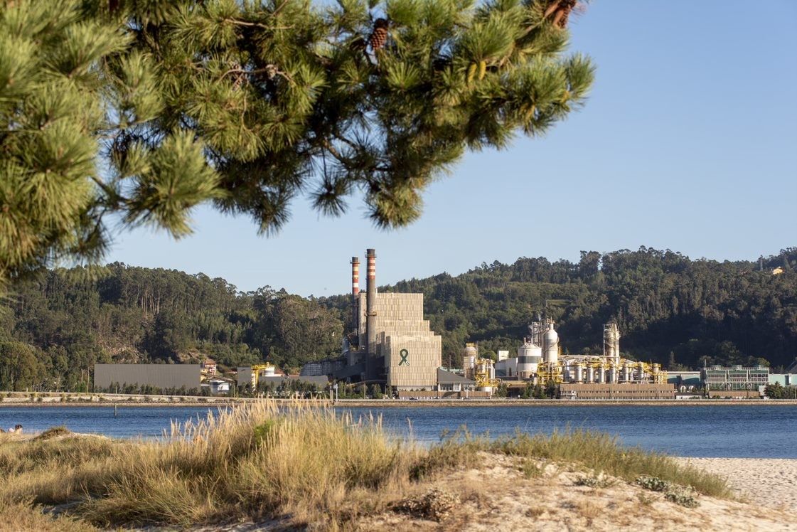 Fábrica de Ence Pontevedra 